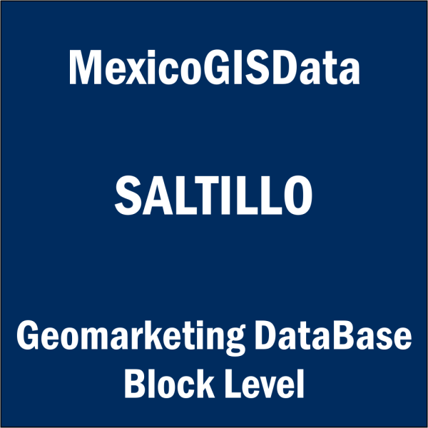 saltillo geomarketing