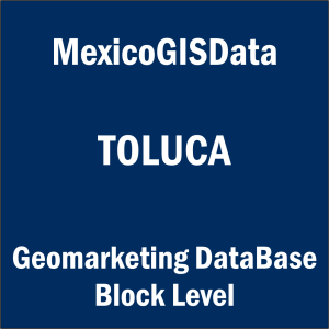 toluca geomarketing